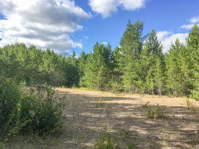 $81,000 | 10350 Victor Lake Road, Isabella, MN 55607