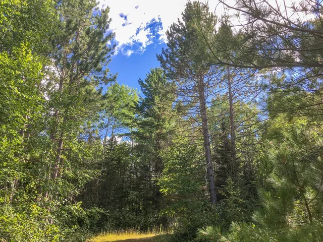 $81,000 | 10350 Victor Lake Road, Isabella, MN 55607