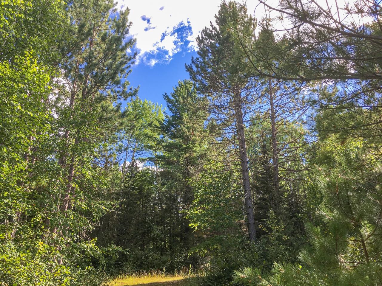 10350 Victor Lake Road Isabella, MN 55607 - Photo 46 of 46