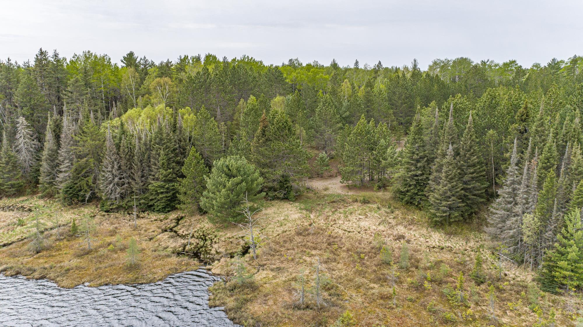 10350 Victor Lake Road Isabella, MN 55607 - Photo 10 of 46