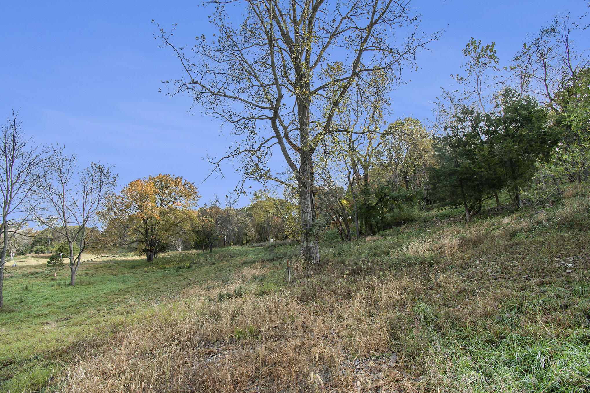 10483 Hadley Road Gregory, MI 48137 - Photo 3 of 20 003__ndp4506_215