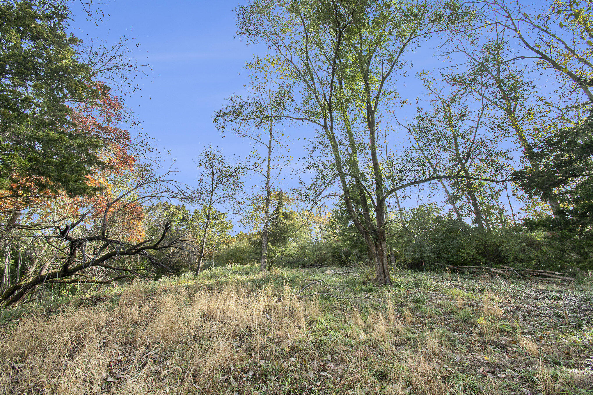10483 Hadley Road Gregory, MI 48137 - Photo 7 of 20 007__ndp4511_230