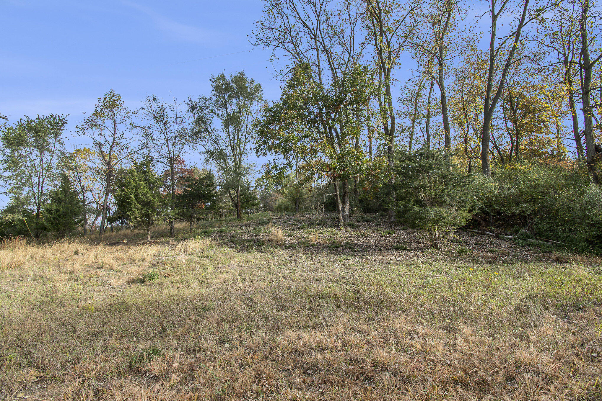 10483 Hadley Road Gregory, MI 48137 - Photo 8 of 20 008__ndp4514_848