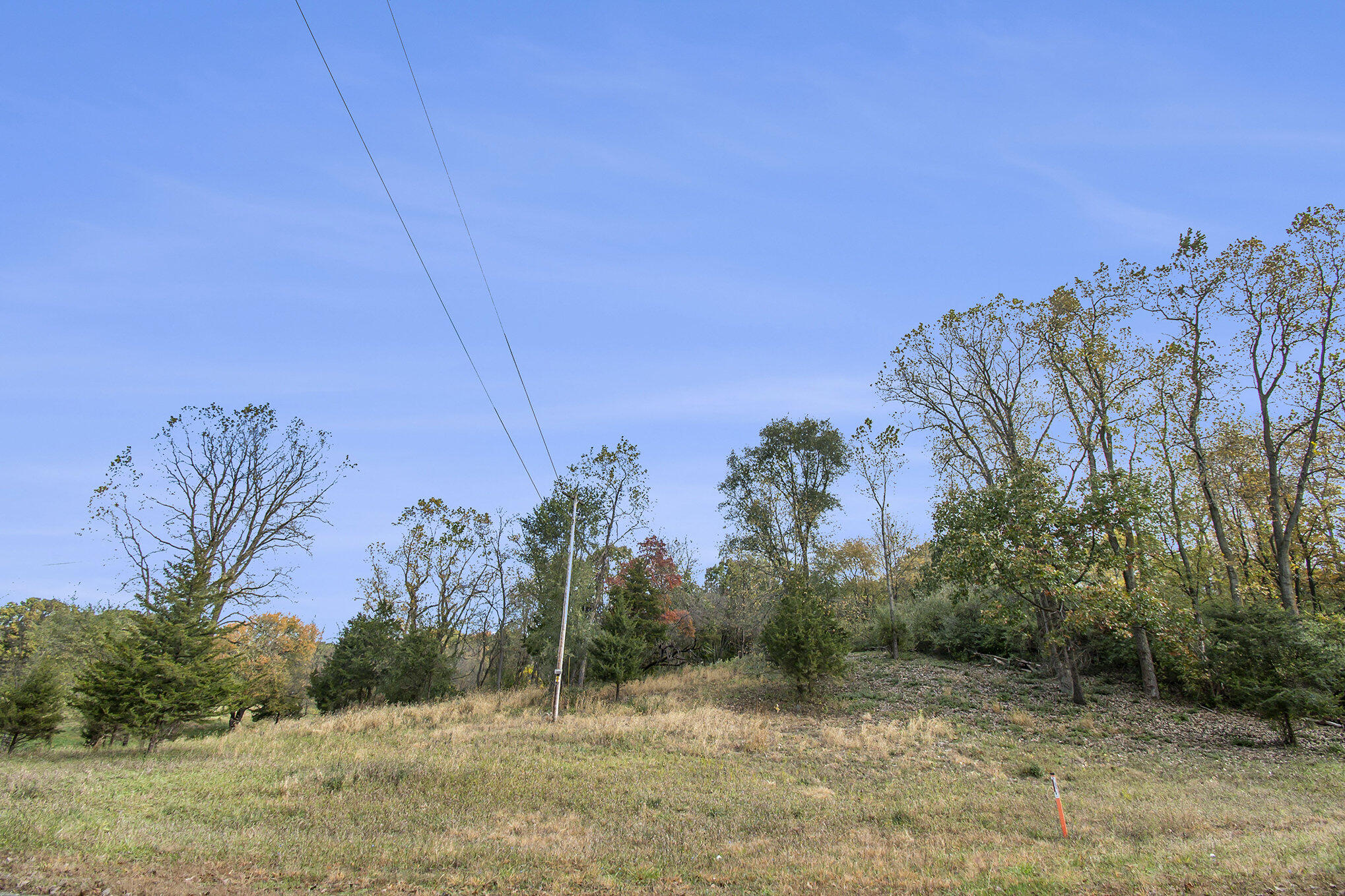 10483 Hadley Road Gregory, MI 48137 - Photo 9 of 20 009__ndp4517_972