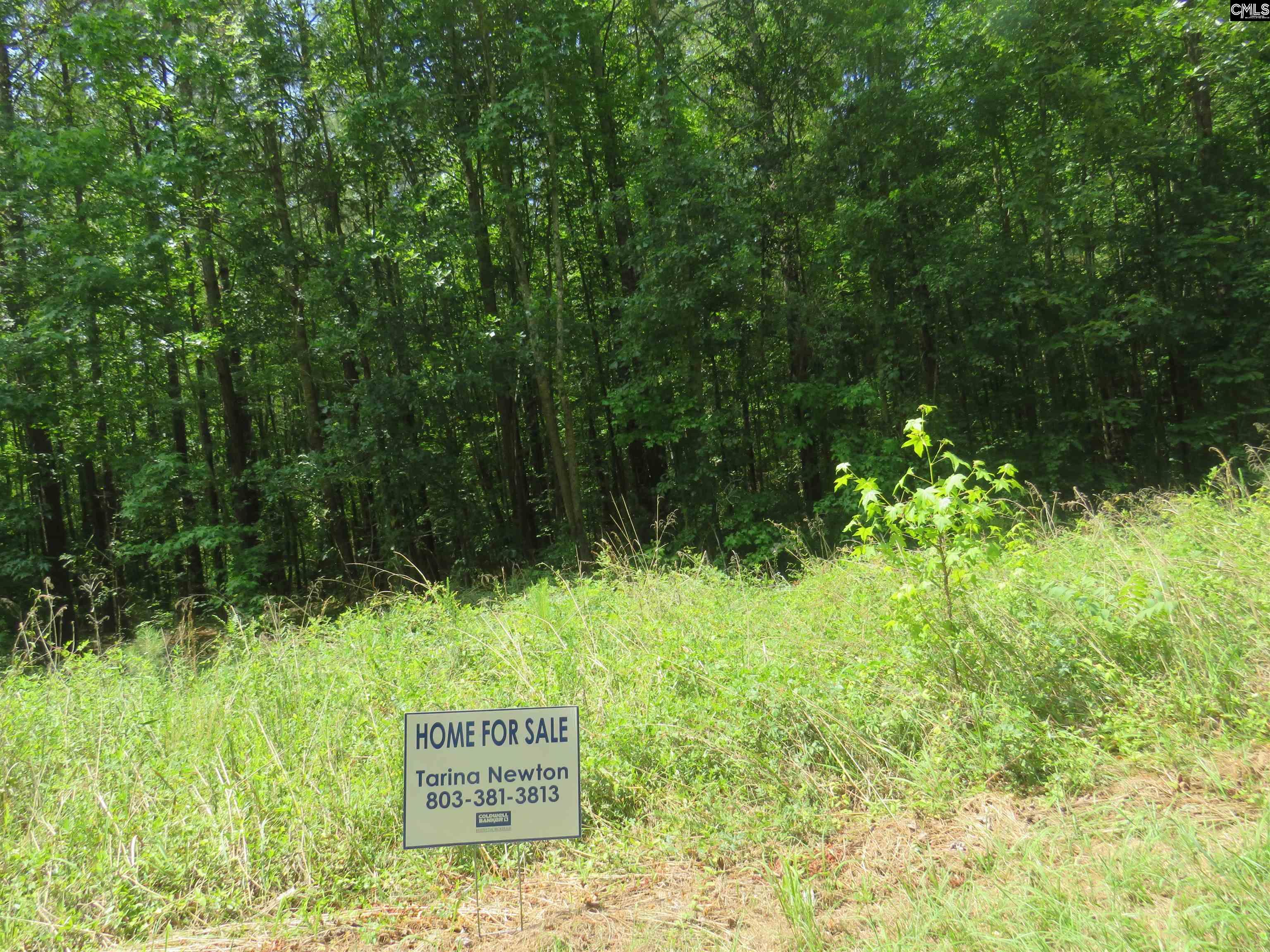 Old Eastover Road Eastover, SC 29044 - Photo 1 of 13