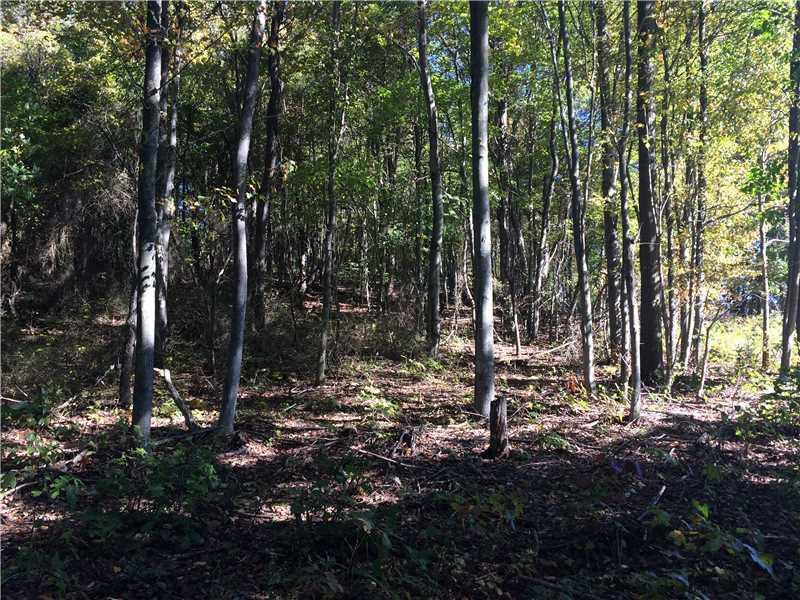 885 Cherry Lane Road Apollo, PA 15613 - Photo 1 of 6 Land/Lot.
