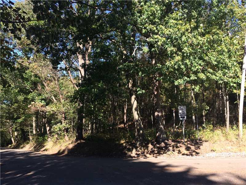 885 Cherry Lane Road Apollo, PA 15613 - Photo 2 of 6 Land/Lot. front of property