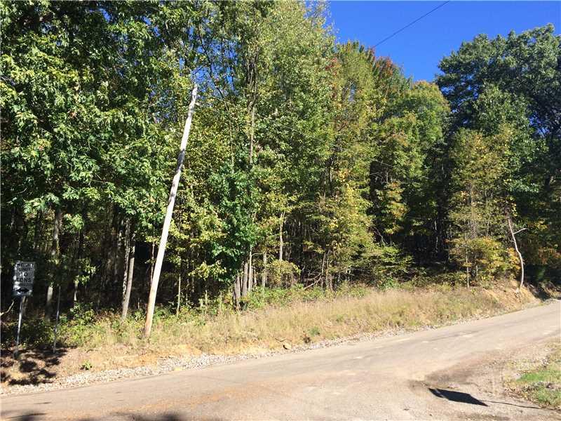 885 Cherry Lane Road Apollo, PA 15613 - Photo 3 of 6 Land/Lot. right hand side of property