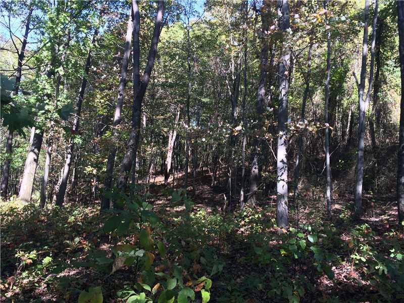 885 Cherry Lane Road Apollo, PA 15613 - Photo 4 of 6 Land/Lot.