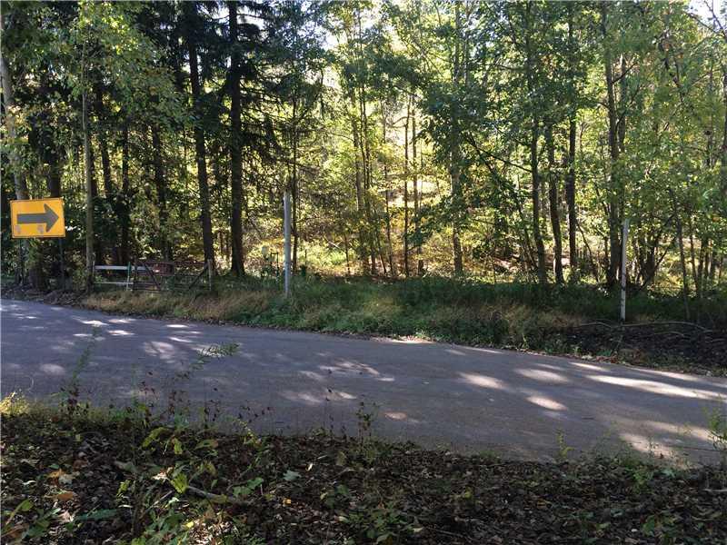 885 Cherry Lane Road Apollo, PA 15613 - Photo 5 of 6 Land/Lot. view looking out from front of property