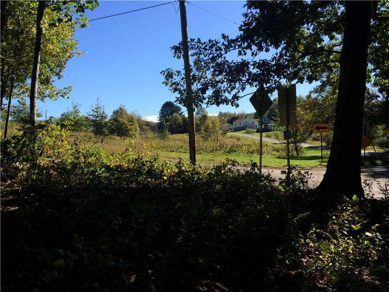 885 Cherry Lane Road Apollo, PA 15613 - Photo 6 of 6 Land/Lot. view to side of property