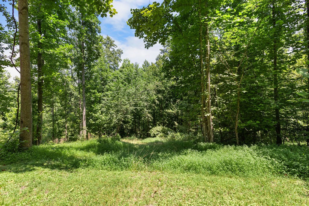 7988 Ridgewood Road Goodlettsville, TN 37072 - Photo 25 of 34 Gallery Image 25