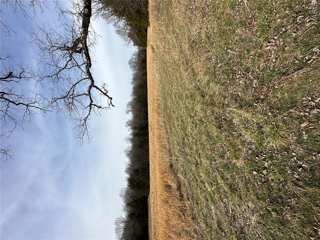 Tbd Upper Janes Creek Road Ravenden, AR 72459 - Photo 61 of 73 Gallery Image 61