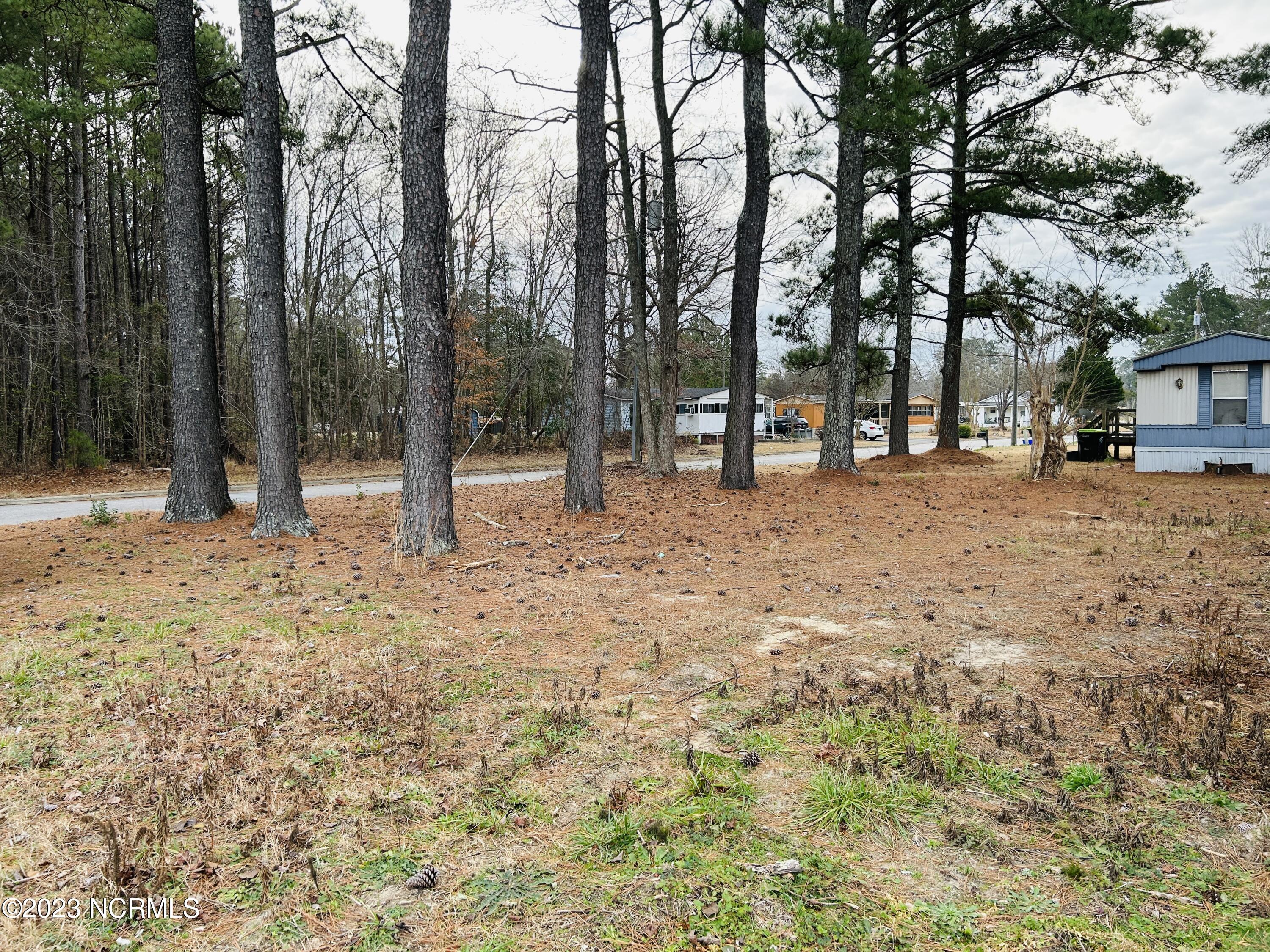 117 Belcher Road Williamston, NC 27892 - Photo 4 of 8 IMG_0846
