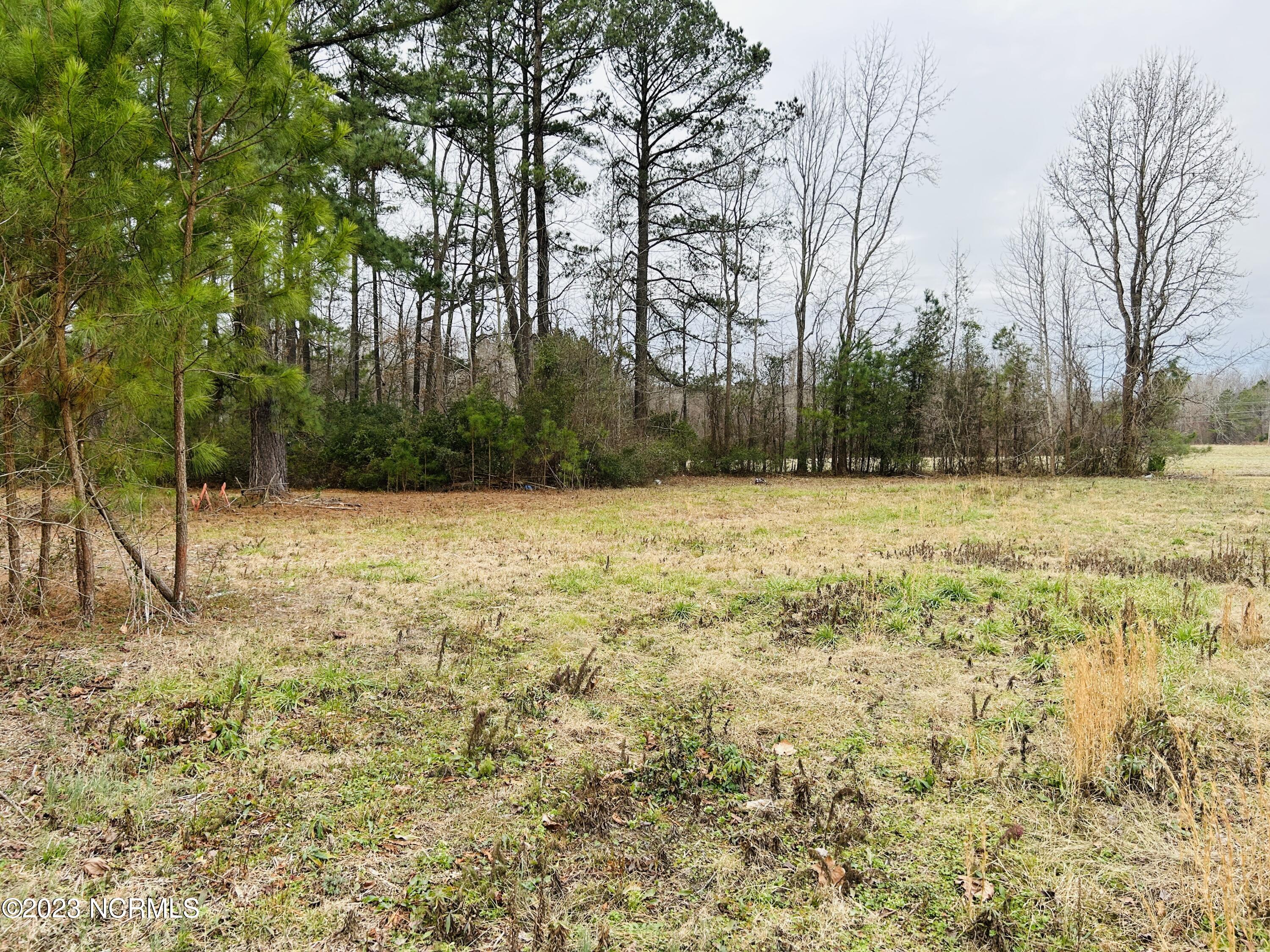 117 Belcher Road Williamston, NC 27892 - Photo 5 of 8 IMG_0847