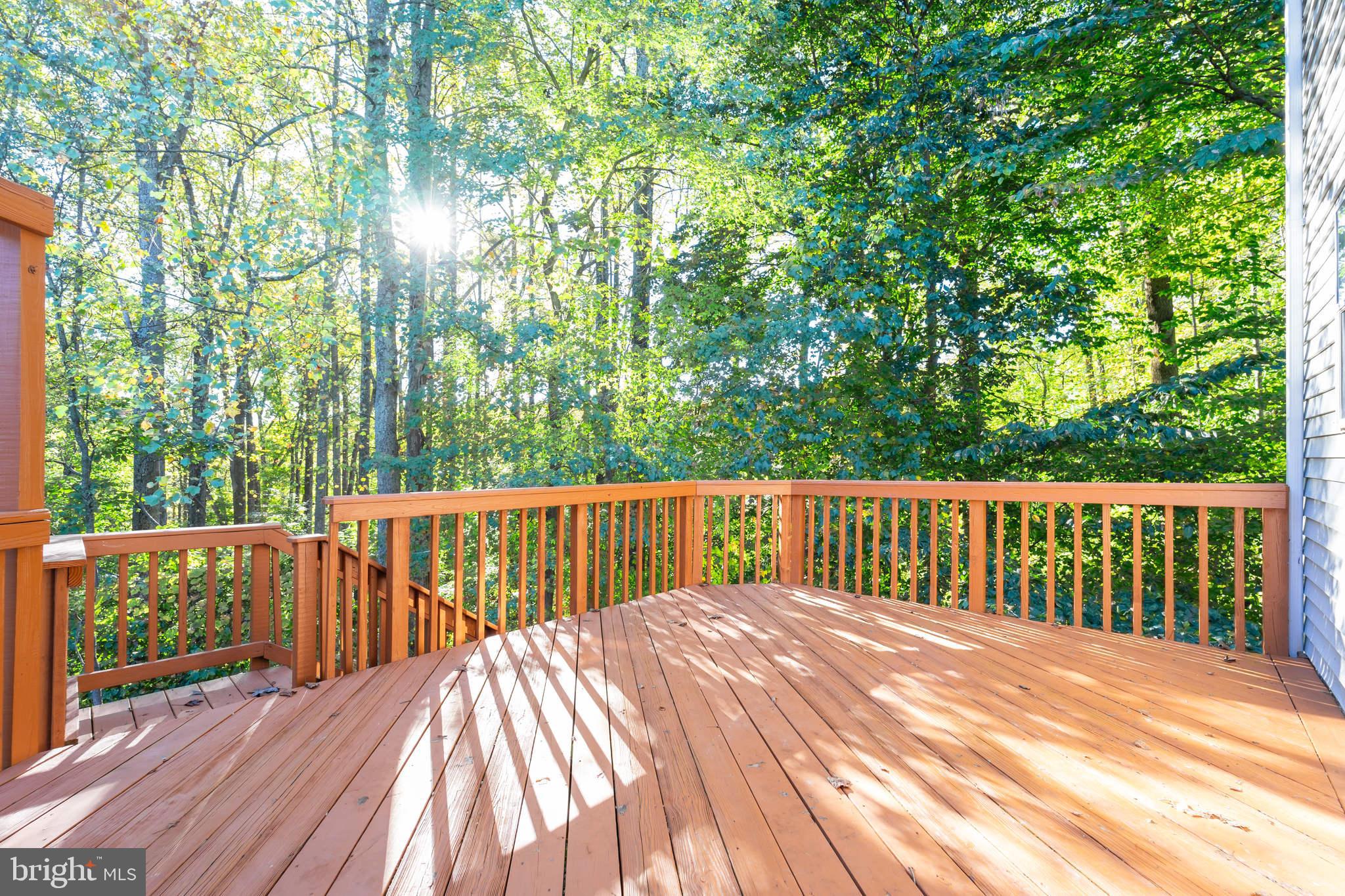 17 Long Green Court Silver Spring, MD 20906 - Photo 29 of 32 Gallery Image 29