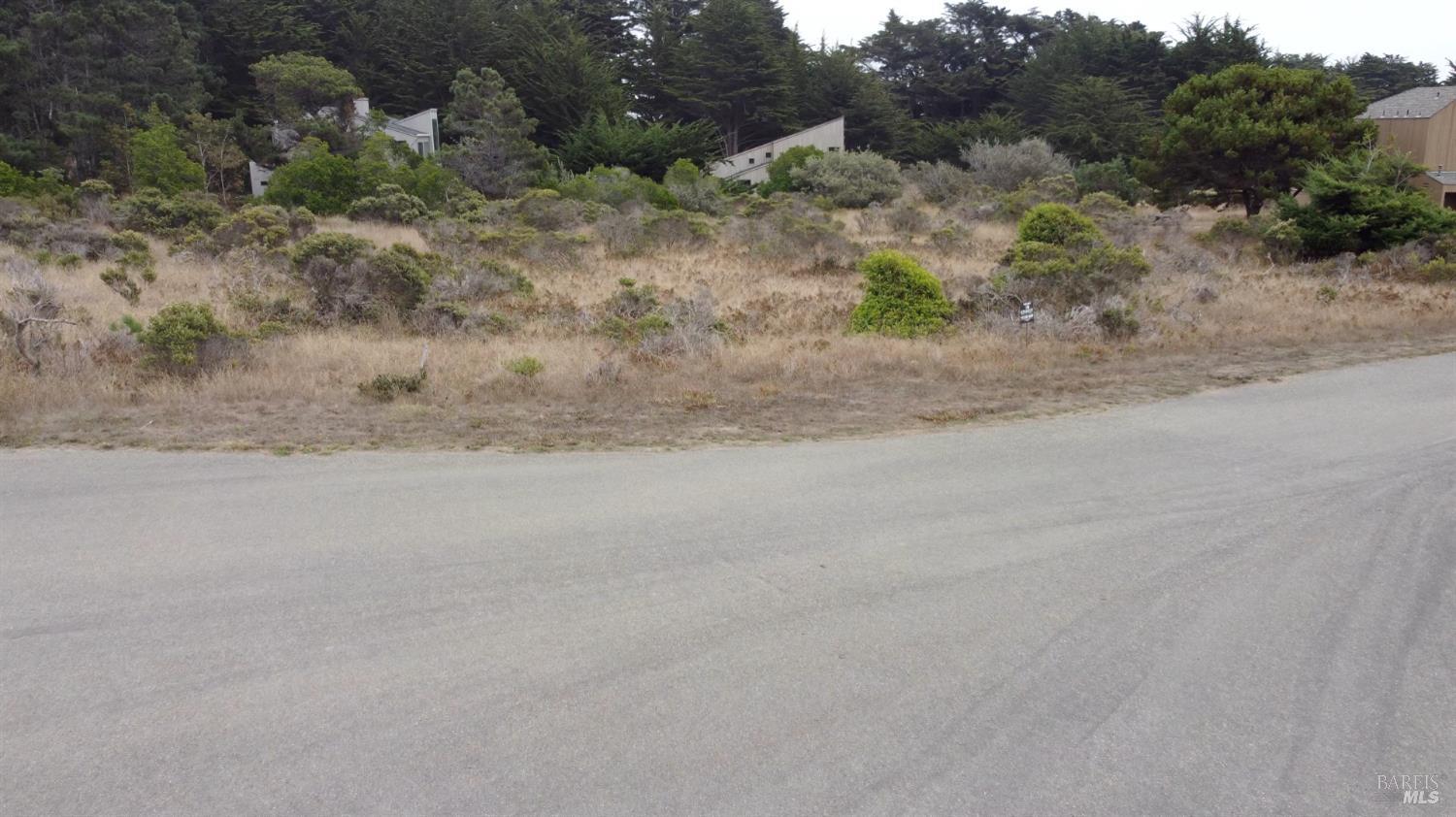 74 Burl Tree The Sea Ranch, CA 95497 - Photo 4 of 9 a view of a dry field with large trees