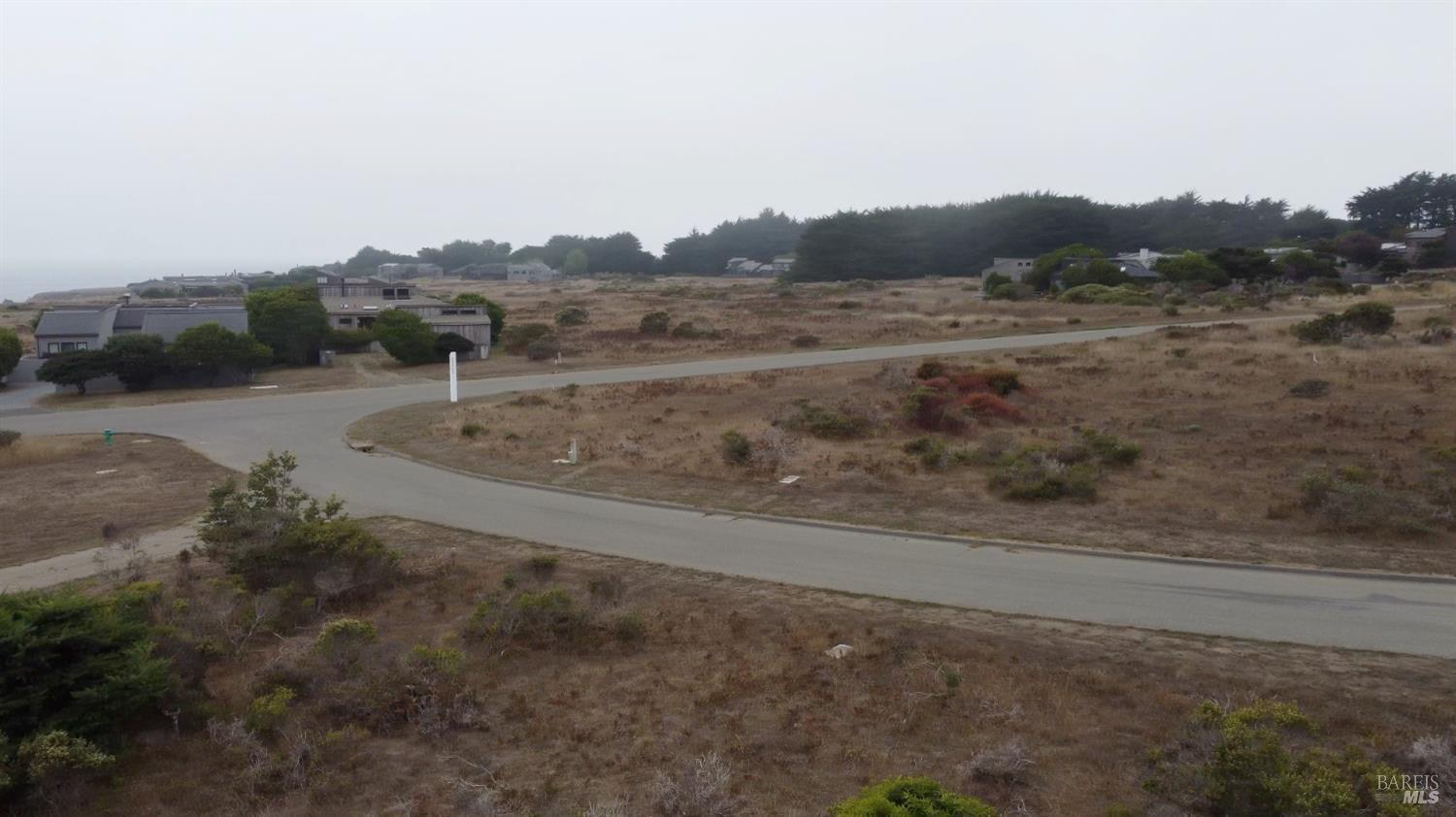 74 Burl Tree The Sea Ranch, CA 95497 - Photo 7 of 9 a view of a dry yard with trees