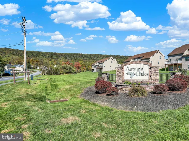 a view of a big yard with potted plants