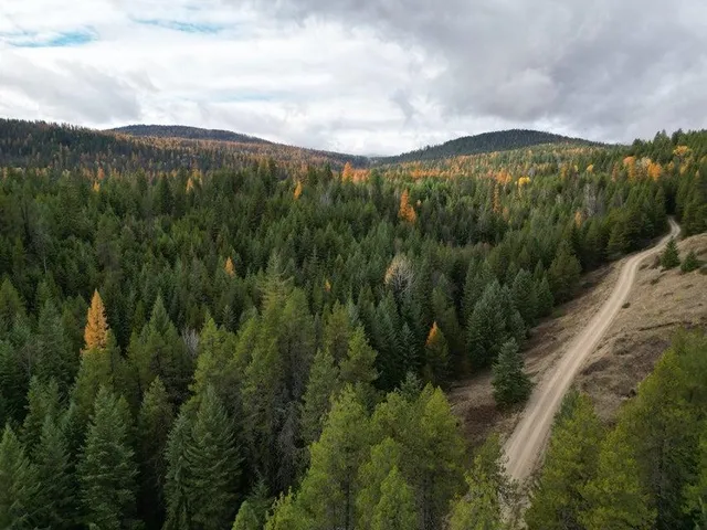 $120,000 | Tbd Schlegel Rnch Road, Ione, WA 99139