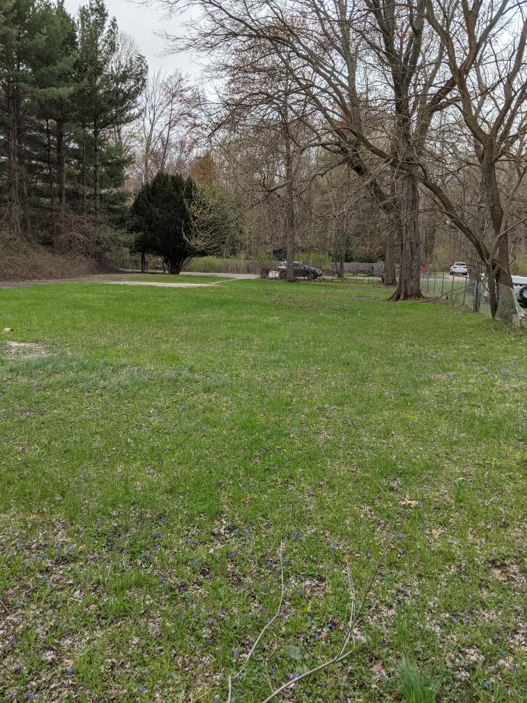 15723 Locke Road Union Pier, MI 49129 - Photo 2 of 4 From back of lot