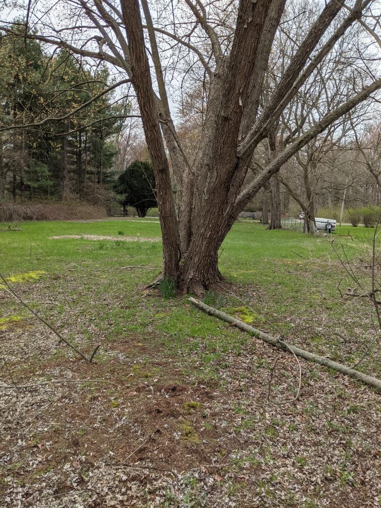 15723 Locke Road Union Pier, MI 49129 - Photo 4 of 4 from back of lot