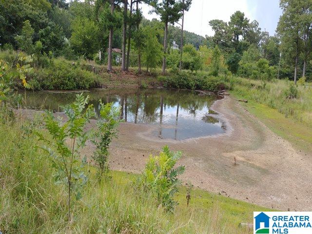 22515 Bucksville Road McCalla, AL 35111 - Photo 7 of 8