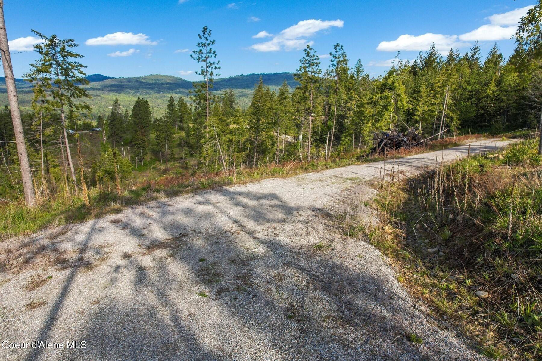 Lot 4 Kelley Creek Road Cocolalla, ID 83813 - Photo 4 of 17 15_DJI_0567