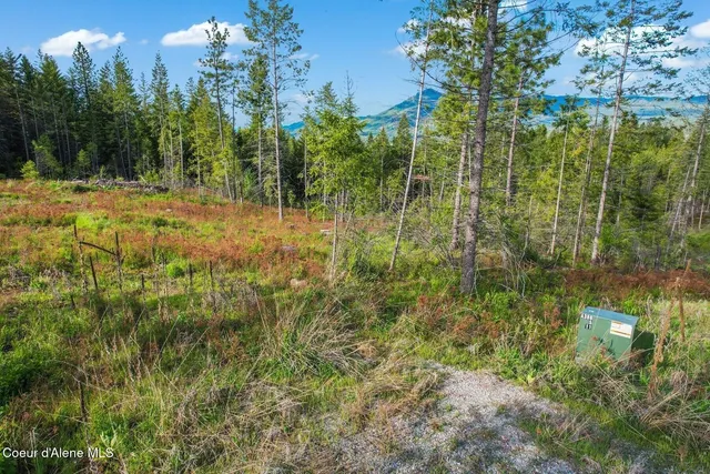 $249,000 | Lot 4 Kelley Creek Road, Cocolalla, ID 83813