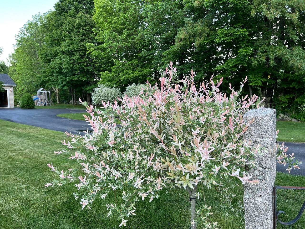 826 Sturtevant Hill Road Winthrop, ME 04364 - Photo 48 of 54 IMG_1270