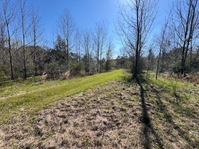 55-ac Cool Springs Road Opp, AL 36467 - Photo 22 of 30 Gallery Image 22