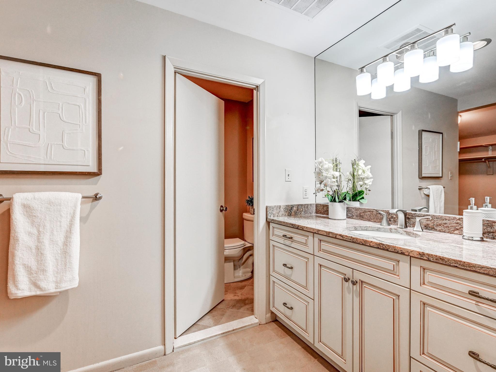 17 Pacers Lane, Unit F Pikesville, MD 21208 - Photo 18 of 24 Updated Primary Bath