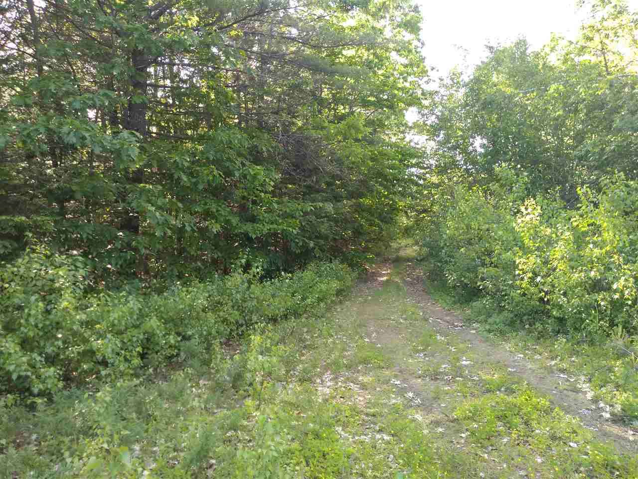 104 West Fryeburg Road Fryeburg, ME 04037 - Photo 4 of 5