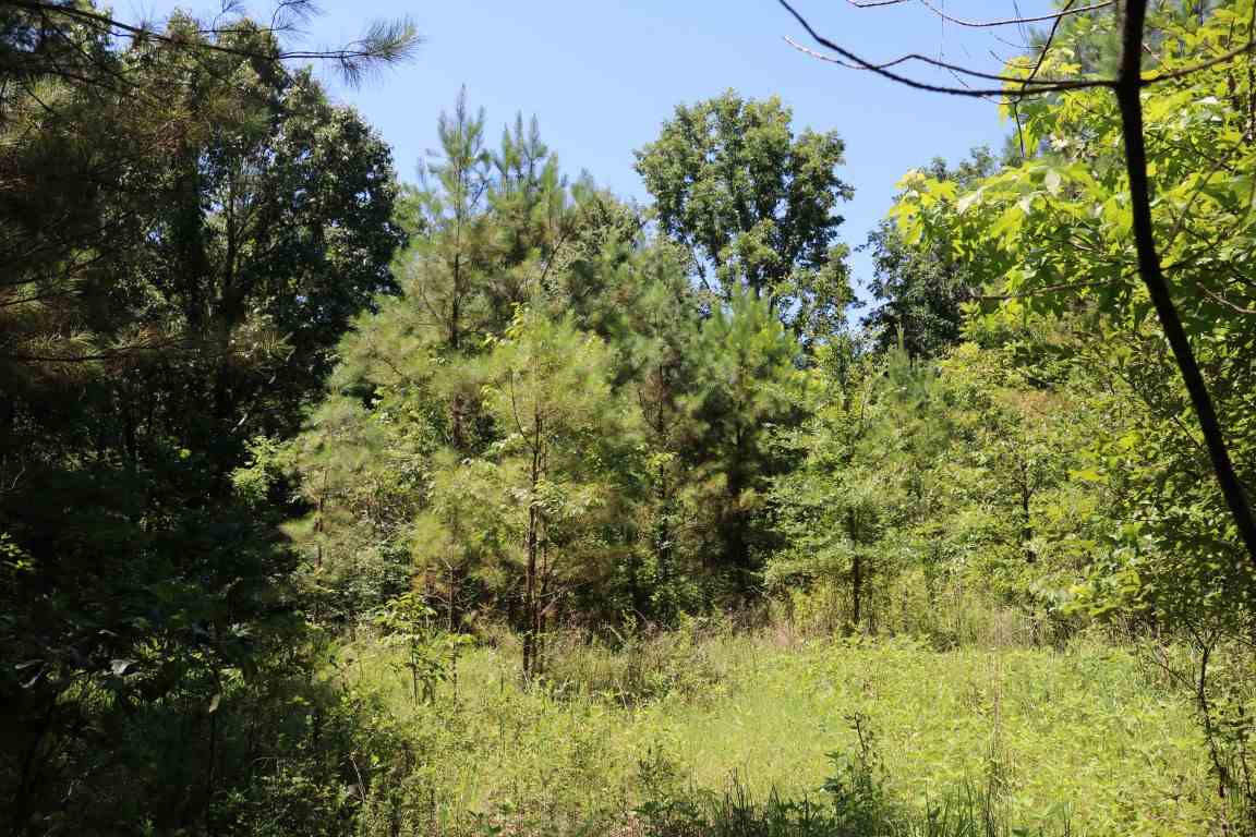 0 Busy Bee Road Lexington, MS 39095 - Photo 14 of 30 Photo 15