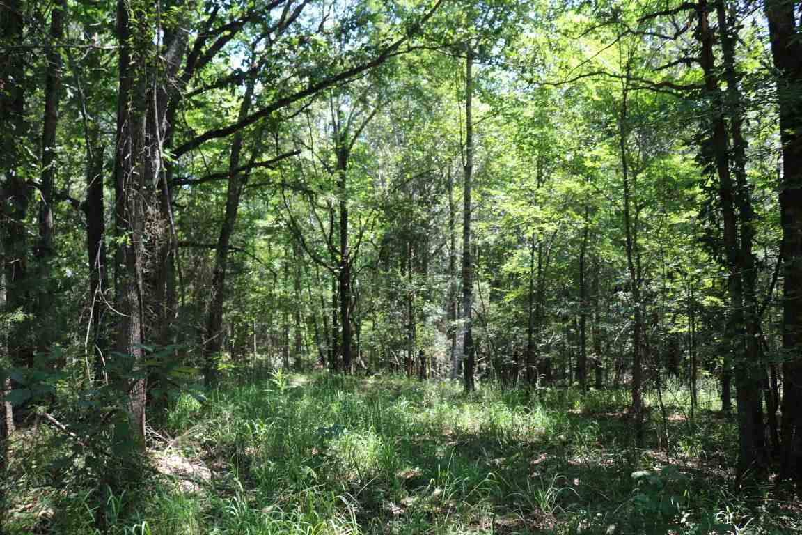 0 Busy Bee Road Lexington, MS 39095 - Photo 20 of 30 Photo 21