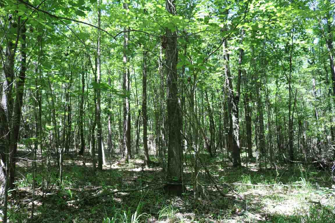 0 Busy Bee Road Lexington, MS 39095 - Photo 22 of 30 Photo 23