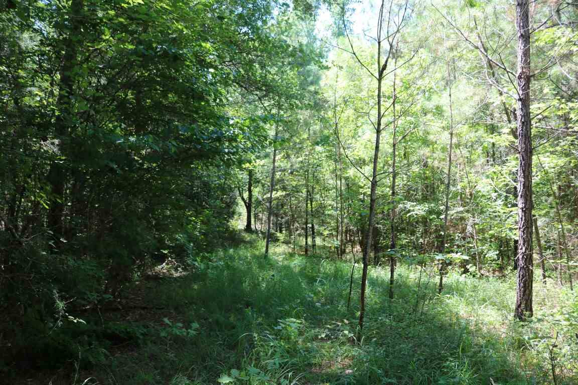 0 Busy Bee Road Lexington, MS 39095 - Photo 24 of 30 Photo 25