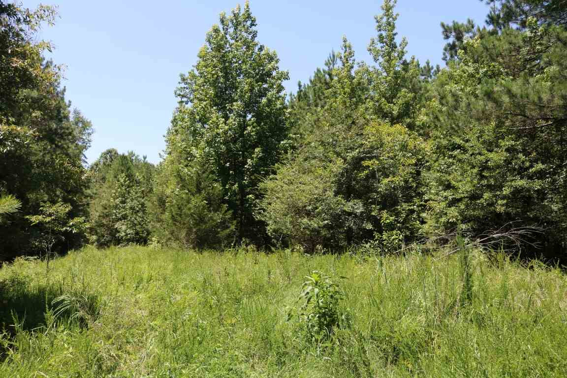 0 Busy Bee Road Lexington, MS 39095 - Photo 25 of 30 Photo 26
