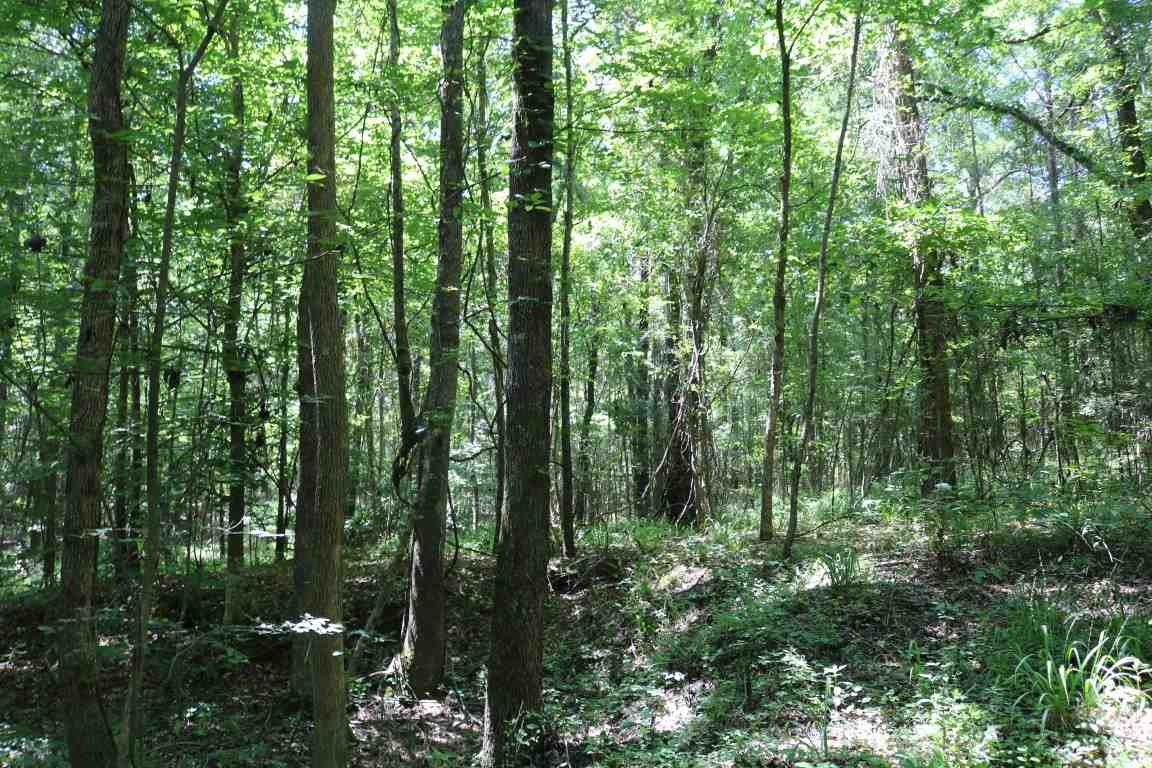0 Busy Bee Road Lexington, MS 39095 - Photo 10 of 30 Photo 11