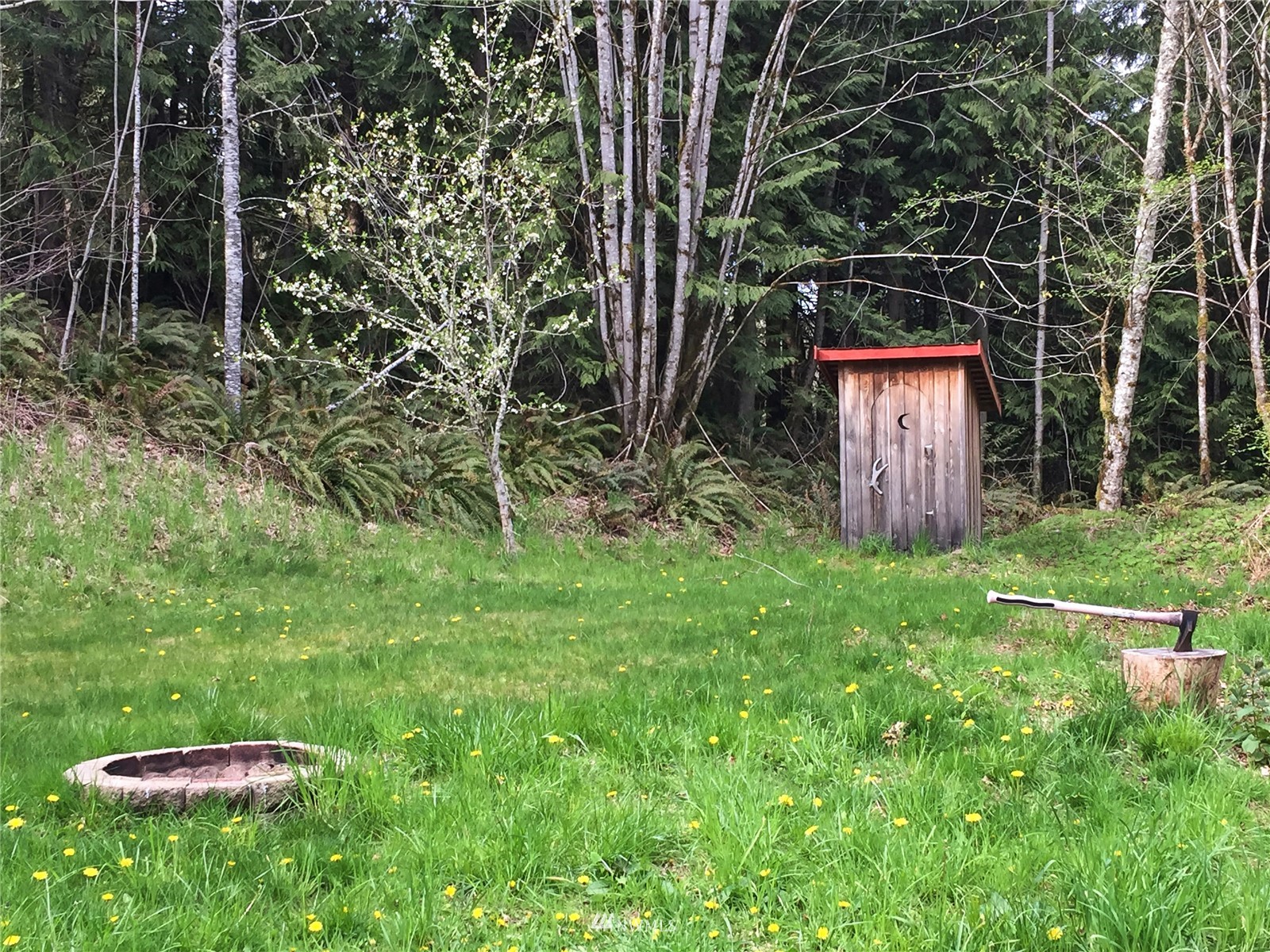184 Snow Creek Road Quilcene, WA 98376 - Photo 26 of 40 Gallery Image 26