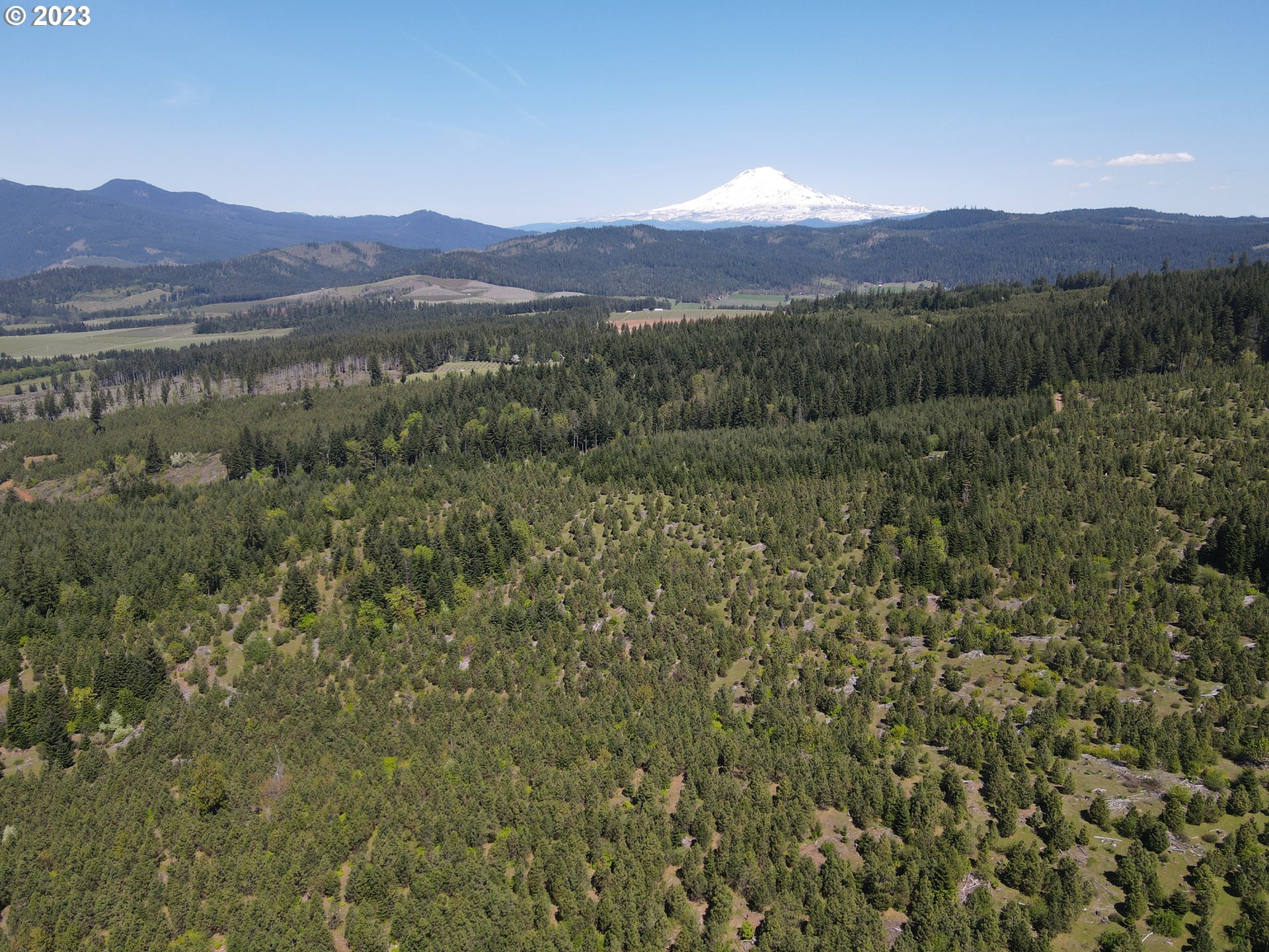 Postgren White Salmon, WA 98672 - Photo 12 of 22 Gallery Image 12