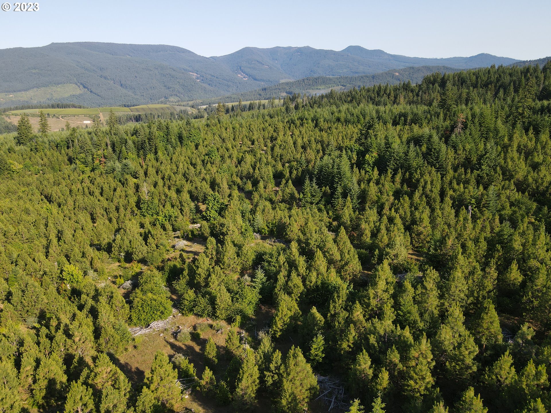 Postgren White Salmon, WA 98672 - Photo 15 of 22 Gallery Image 15