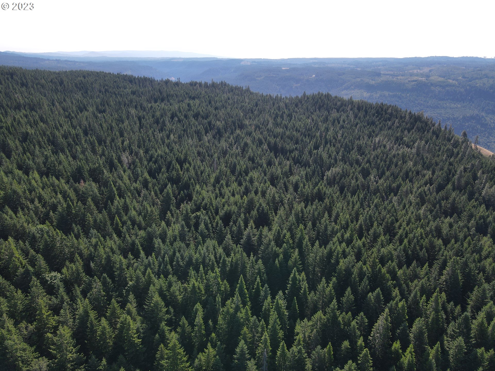 Postgren White Salmon, WA 98672 - Photo 17 of 22 Gallery Image 17