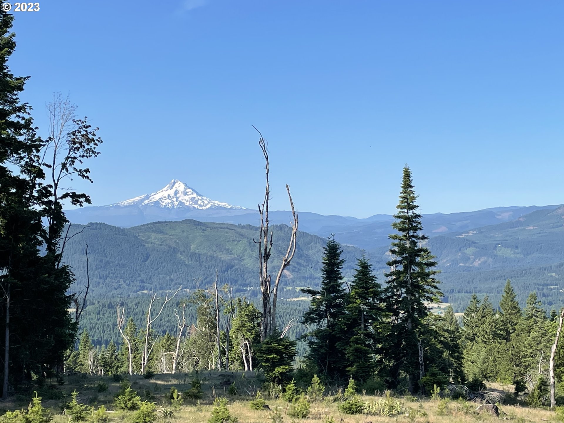 Postgren White Salmon, WA 98672 - Photo 3 of 22 Gallery Image 3
