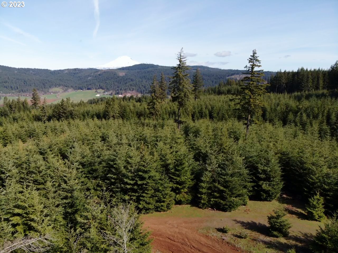 Postgren White Salmon, WA 98672 - Photo 5 of 22 Gallery Image 5
