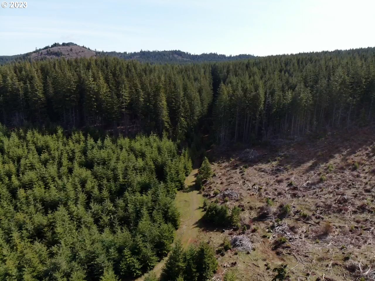 Postgren White Salmon, WA 98672 - Photo 6 of 22 Gallery Image 6