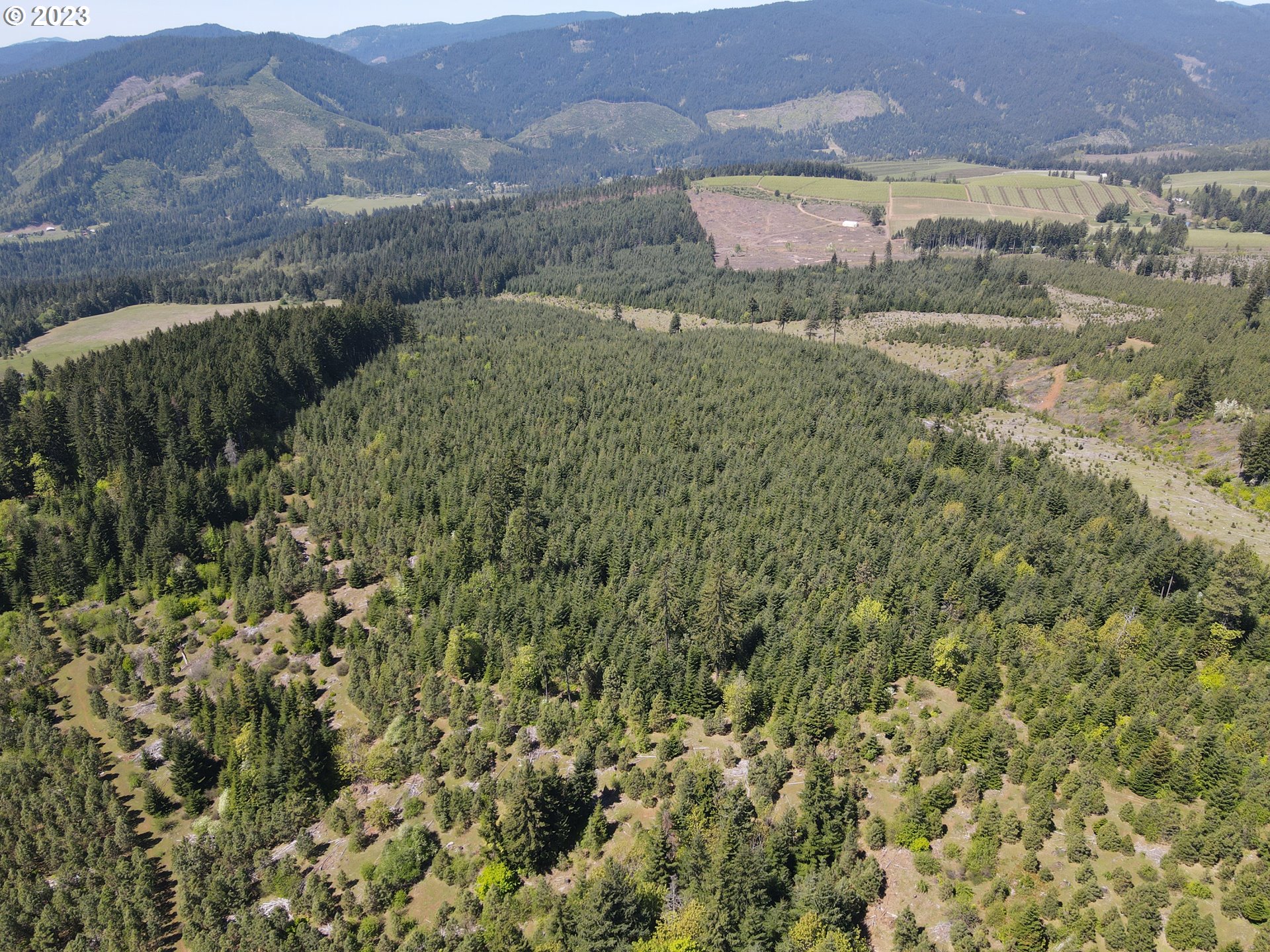 Postgren White Salmon, WA 98672 - Photo 9 of 22 Gallery Image 9