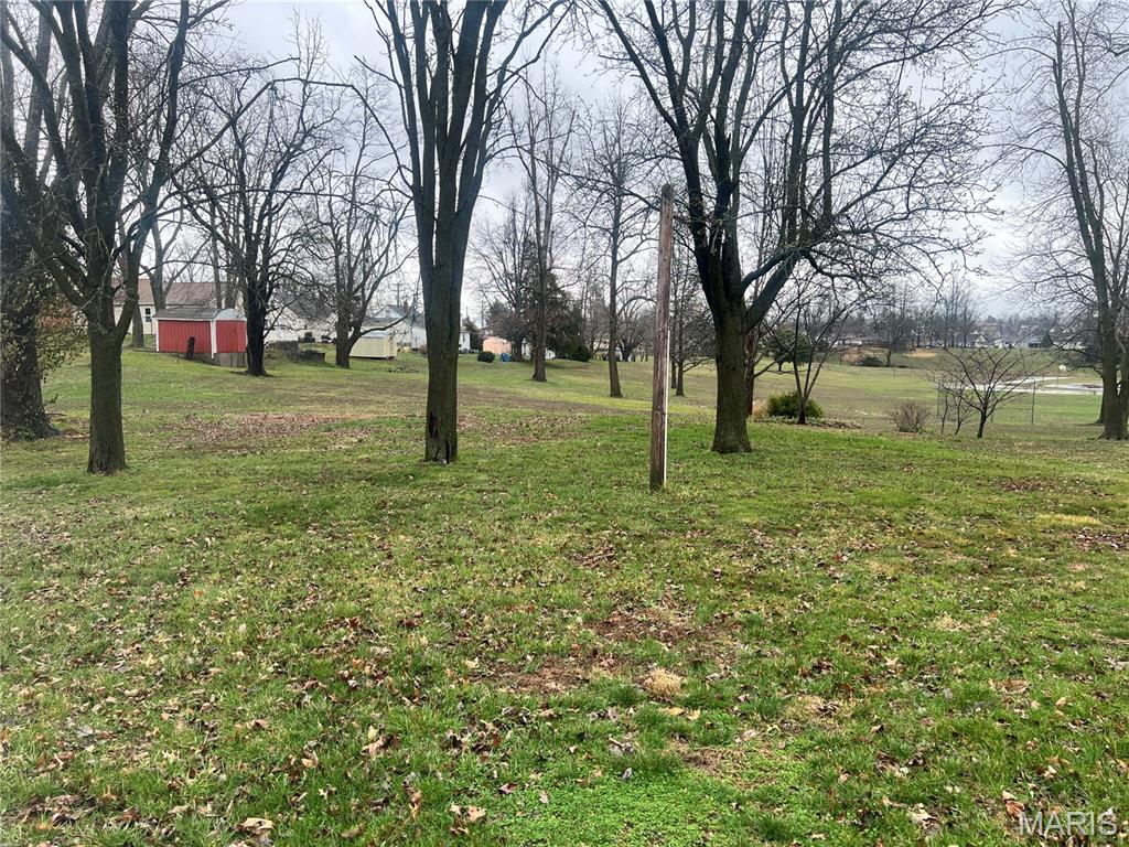 703 Bruce Street Perryville, MO 63775 - Photo 18 of 22