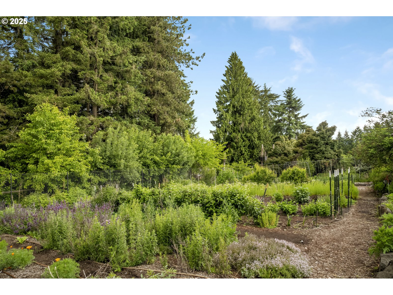 10623 Northeast Fox Farm Road Dundee, OR 97115 - Photo 25 of 47