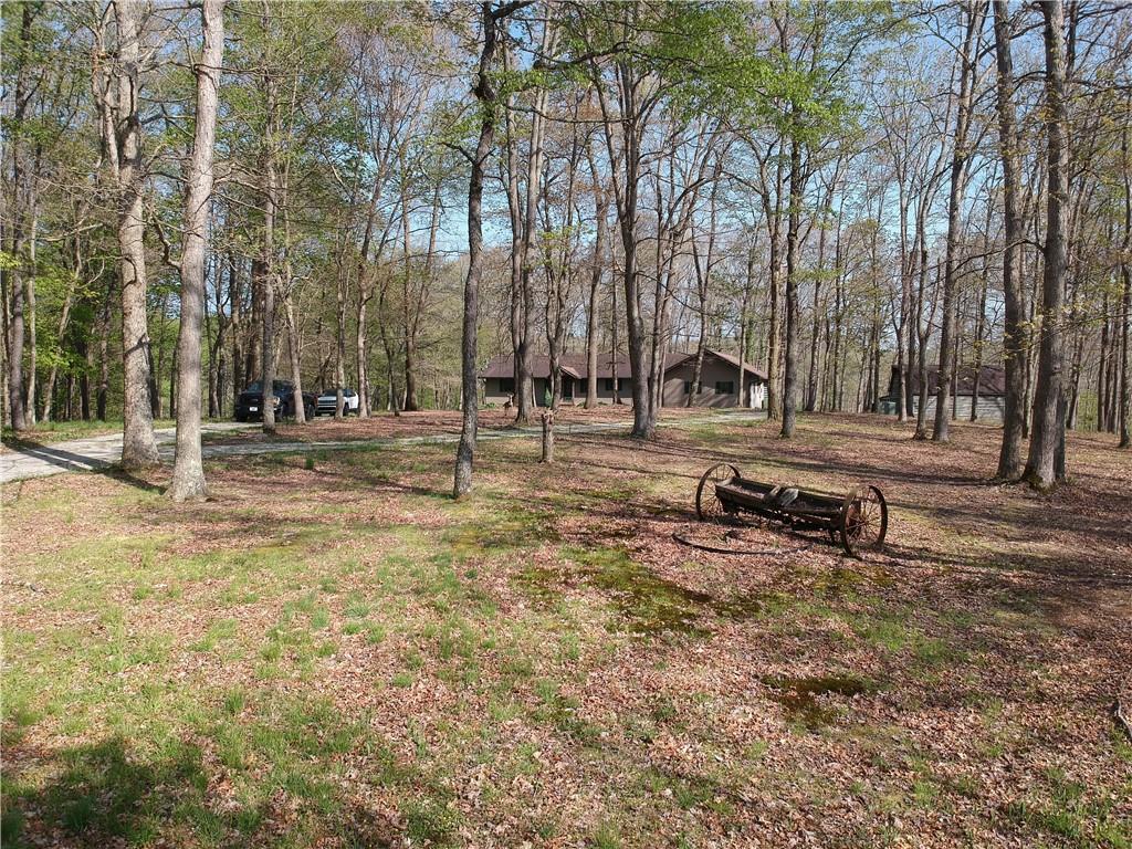 915 Quebec Road Farmington, PA 15437 - Photo 3 of 41 a view of park with tree s
